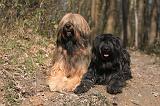 BRIARD 015